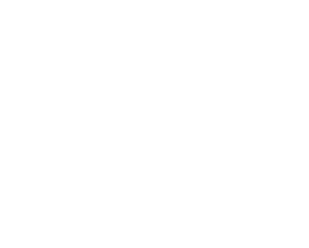 languages_icon