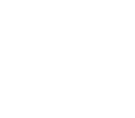 portfolio_icon